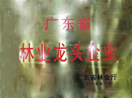    	         	2015年1月，紅古軒當選為“廣東省林業(yè)龍頭企業(yè)”   